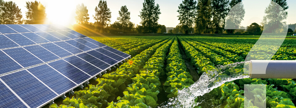 Giải pháp xanh cho nông nghiệp với hệ thống bơm nước năng lượng mặt trời